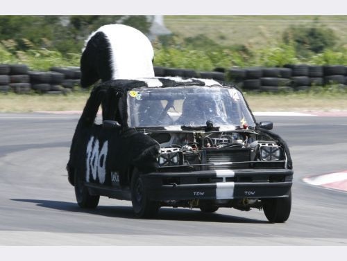 Comment neutraliser l'odeur de moufette dans la voiture