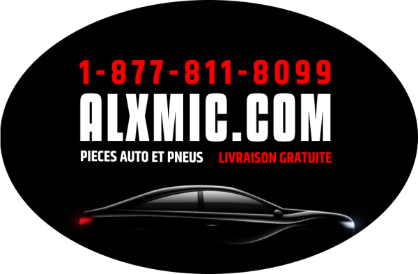 Autocollant Alxmic.com ovale